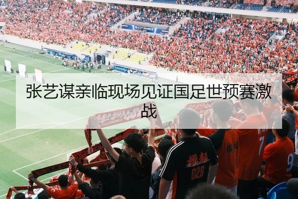 张艺谋亲临现场见证国足世预赛激战