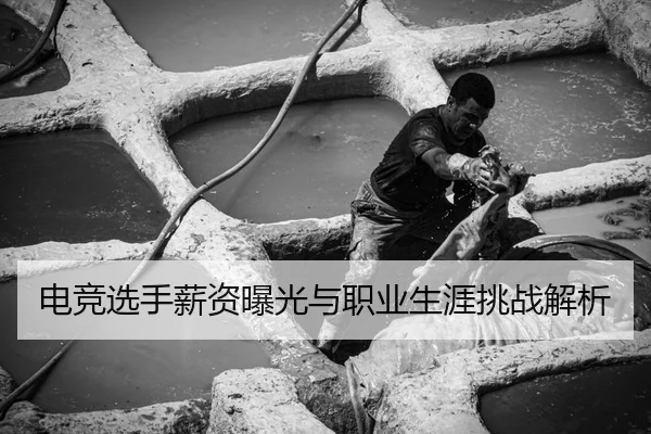 dian-jing-xuan-shou-xin-zi-bao-guang-yu-zhi-ye-sheng-ya-tiao-zhan-jie-xi-2-310.jpg